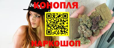 СК Обь
