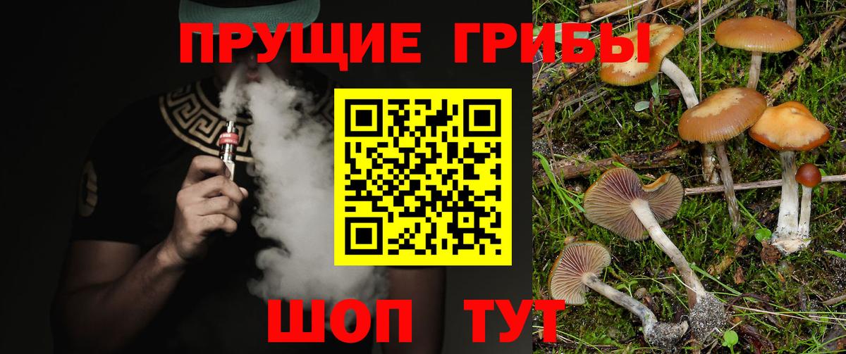 Псилоцибиновые грибы мухоморы  Галлюциногенные грибы Cubensis  Рубцовск  Вход с VPN 