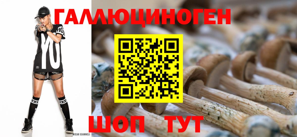 Псилоцибиновые грибы MAGIC MUSHROOMS Рубцовск